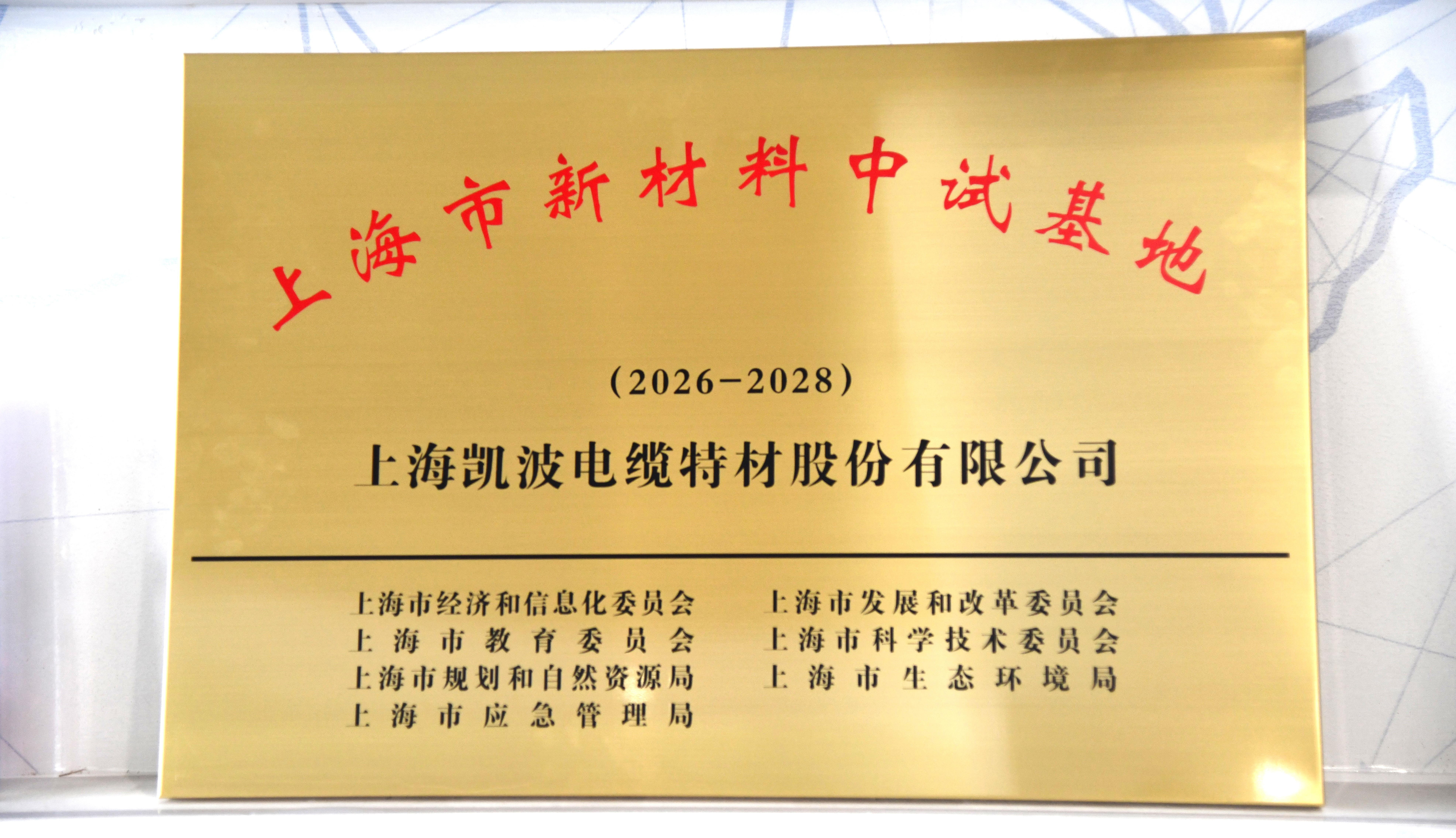 奖牌 p.jpg