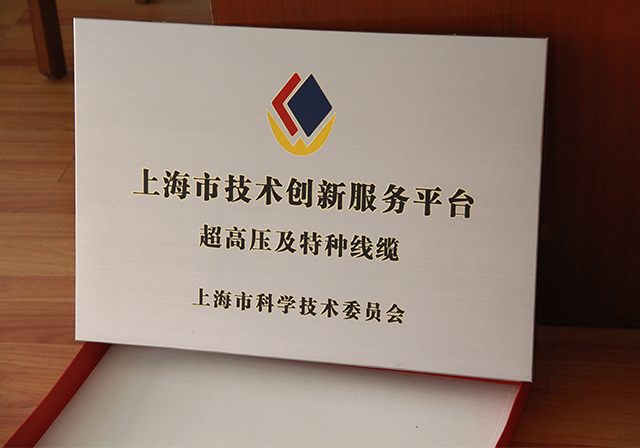 上海市超高压及特种线缆技术创新服务平台.jpg
