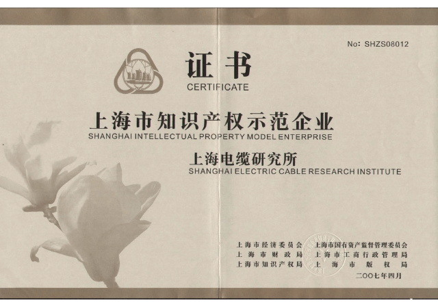 上海市知识产权示范企业.png