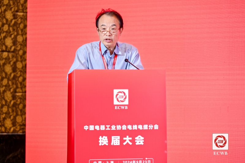 4 沈江致辞照.jpg