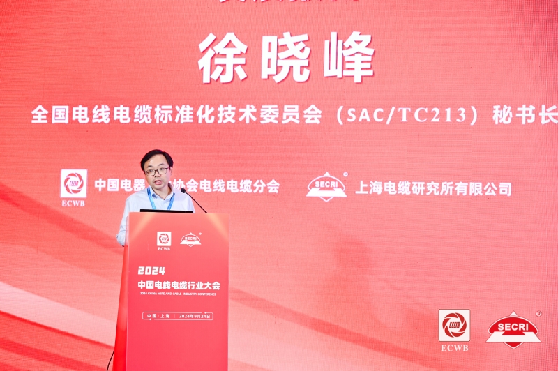徐晓峰.jpg